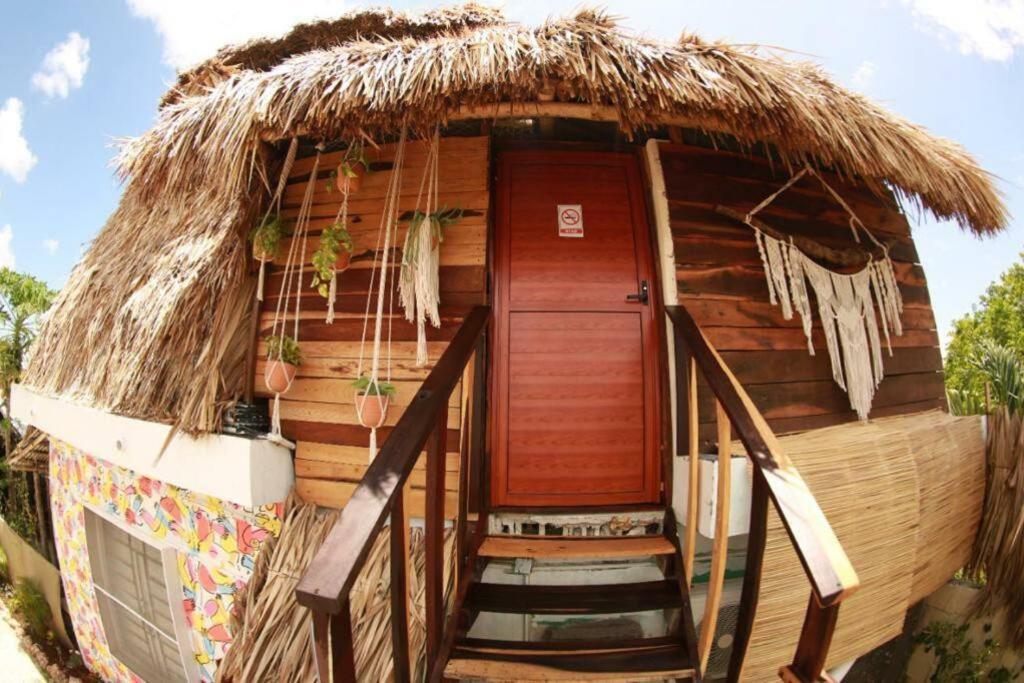 Apartamento Casa Venado, By Jungla Bacalar Exterior foto