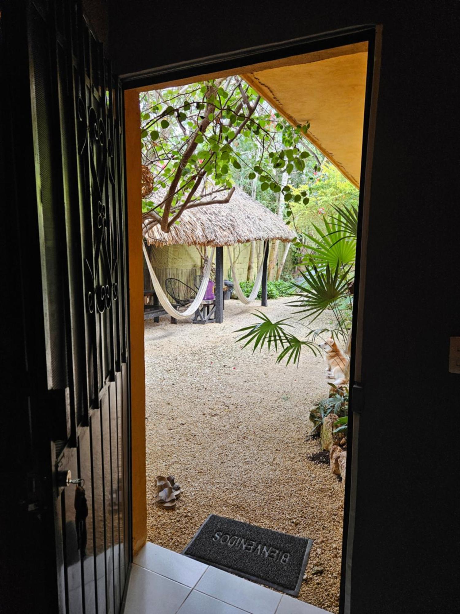 Apartamento Casa Venado, By Jungla Bacalar Exterior foto