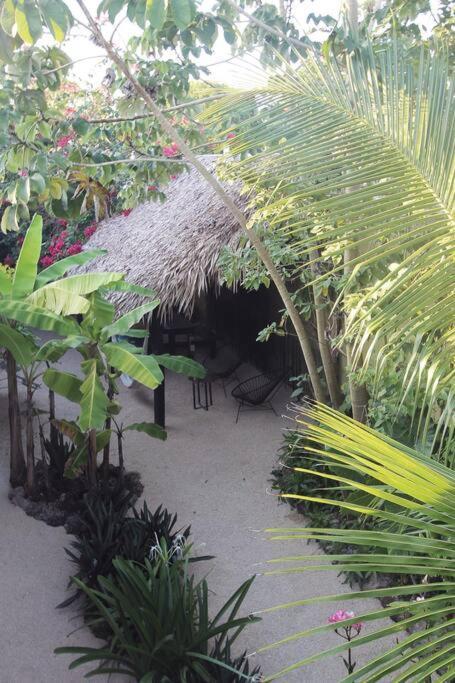 Apartamento Casa Venado, By Jungla Bacalar Exterior foto