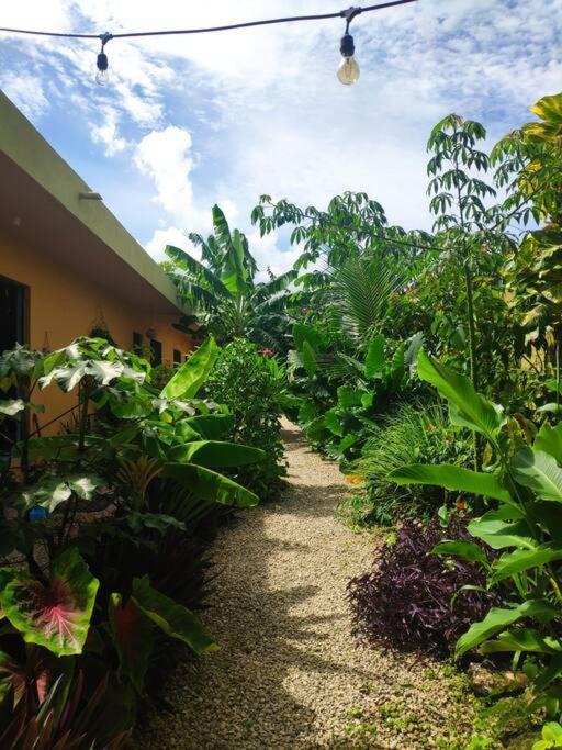 Apartamento Casa Venado, By Jungla Bacalar Exterior foto